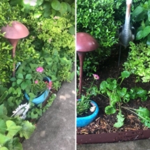 garden 4